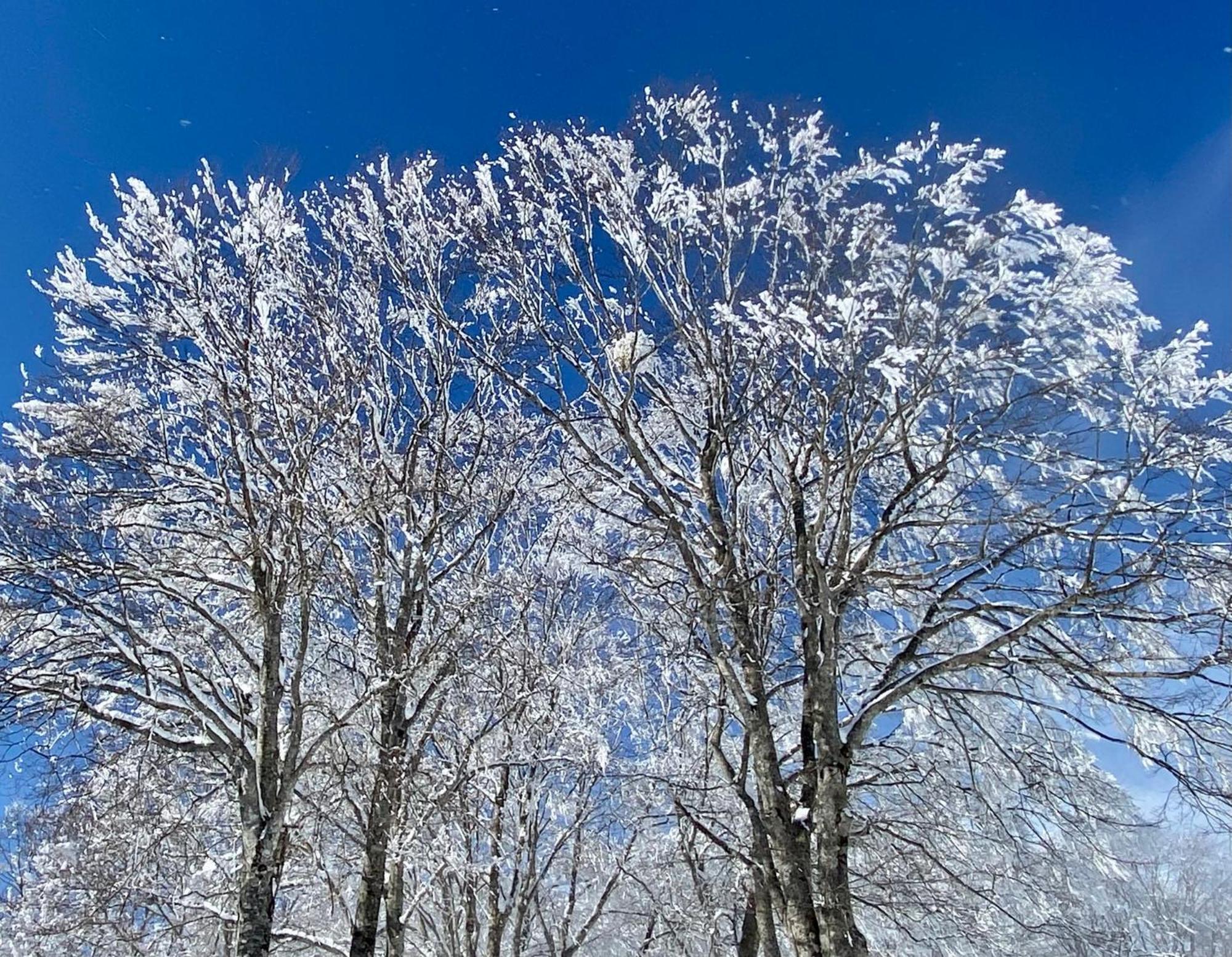 Snow Horizon Apartment Hakuba